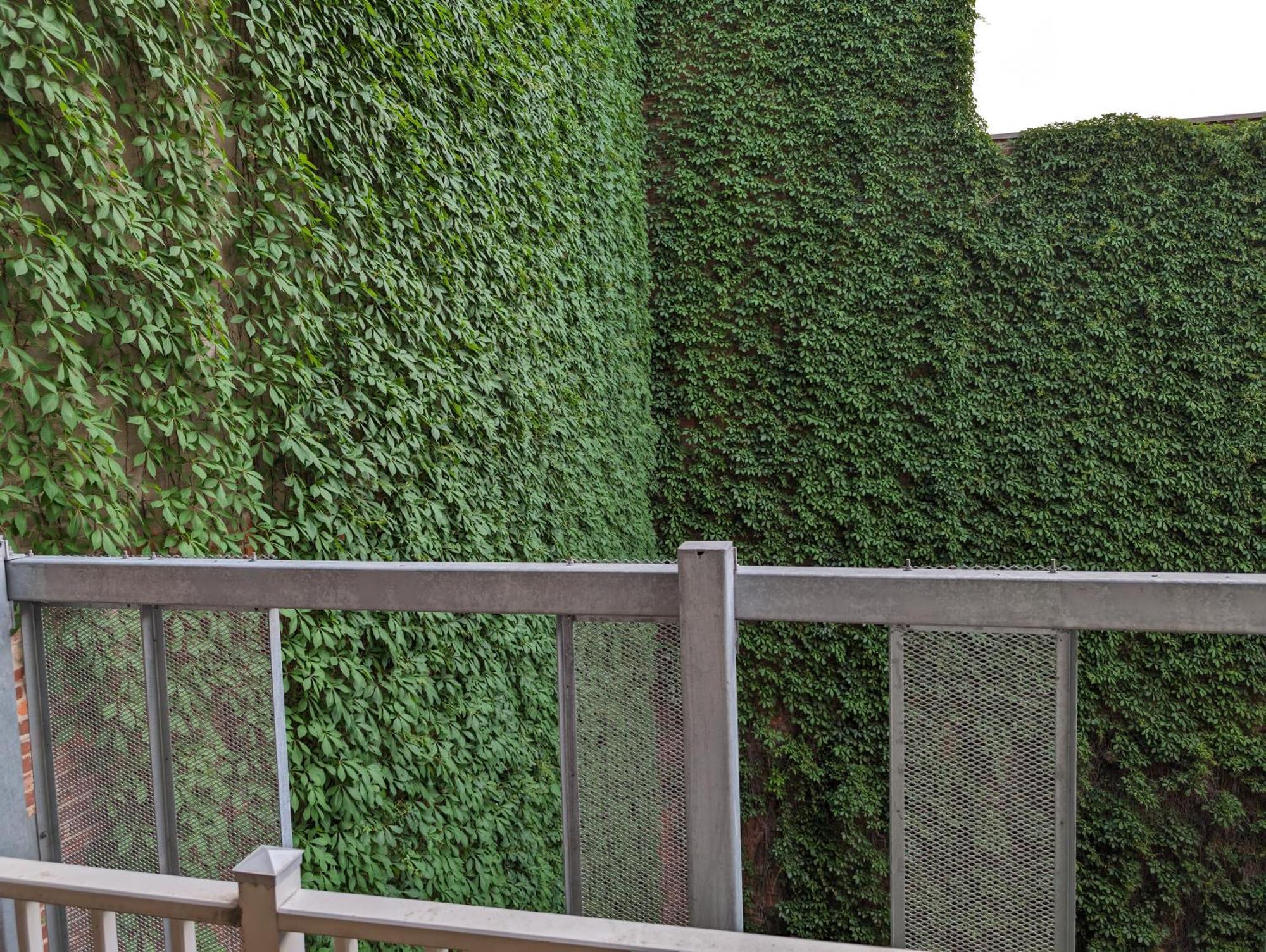 Cozy Studio In Montreal'S Quartier Des Spectacles Montréal Exterior foto